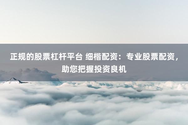 正规的股票杠杆平台 细楷配资：专业股票配资，助您把握投资良机