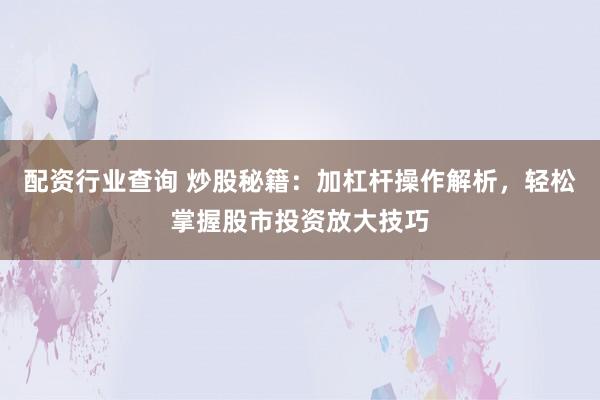 配资行业查询 炒股秘籍：加杠杆操作解析，轻松掌握股市投资放大技巧