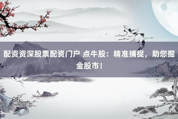 配资资深股票配资门户 点牛股：精准捕捉，助您掘金股市！