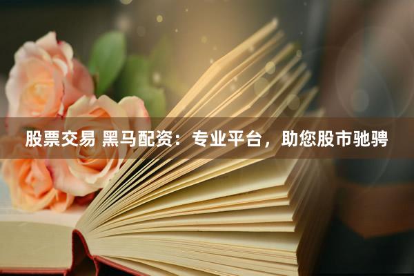 股票交易 黑马配资：专业平台，助您股市驰骋