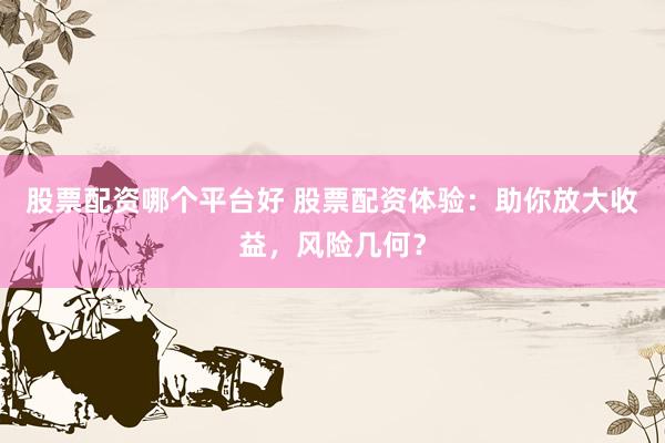 股票配资哪个平台好 股票配资体验：助你放大收益，风险几何？