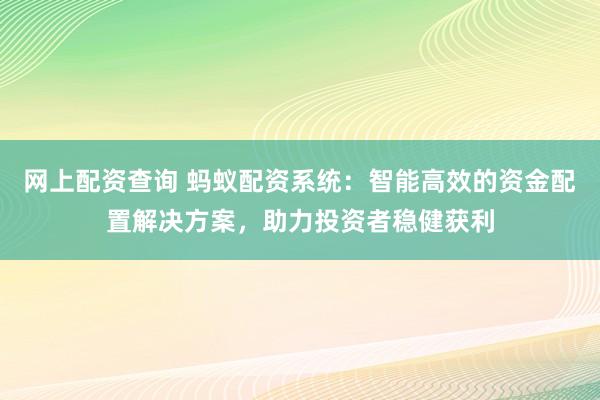网上配资查询 蚂蚁配资系统：智能高效的资金配置解决方案，助力投资者稳健获利