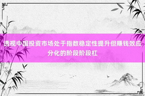 透视中国投资市场处于指数稳定性提升但赚钱效应分化的阶段阶段杠