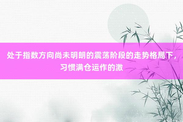 处于指数方向尚未明朗的震荡阶段的走势格局下，习惯满仓运作的激