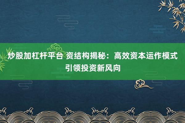 炒股加杠杆平台 资结构揭秘：高效资本运作模式引领投资新风向